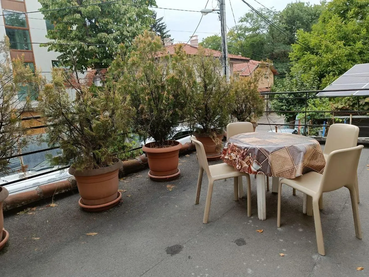 10 Coins Hostel & Tours صوفيا